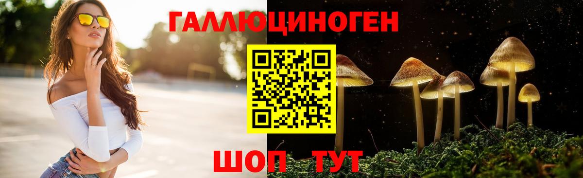 Мурино  Галлюциногенные грибы ЛСД  Вход с VPN 